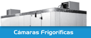 Camaras